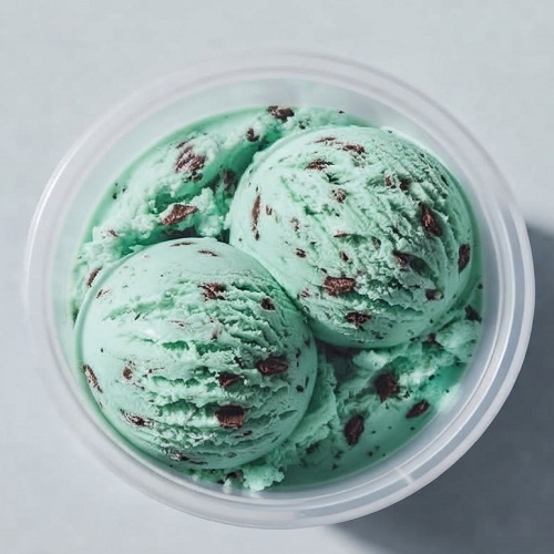 Mint Chocolate Ice Cream 